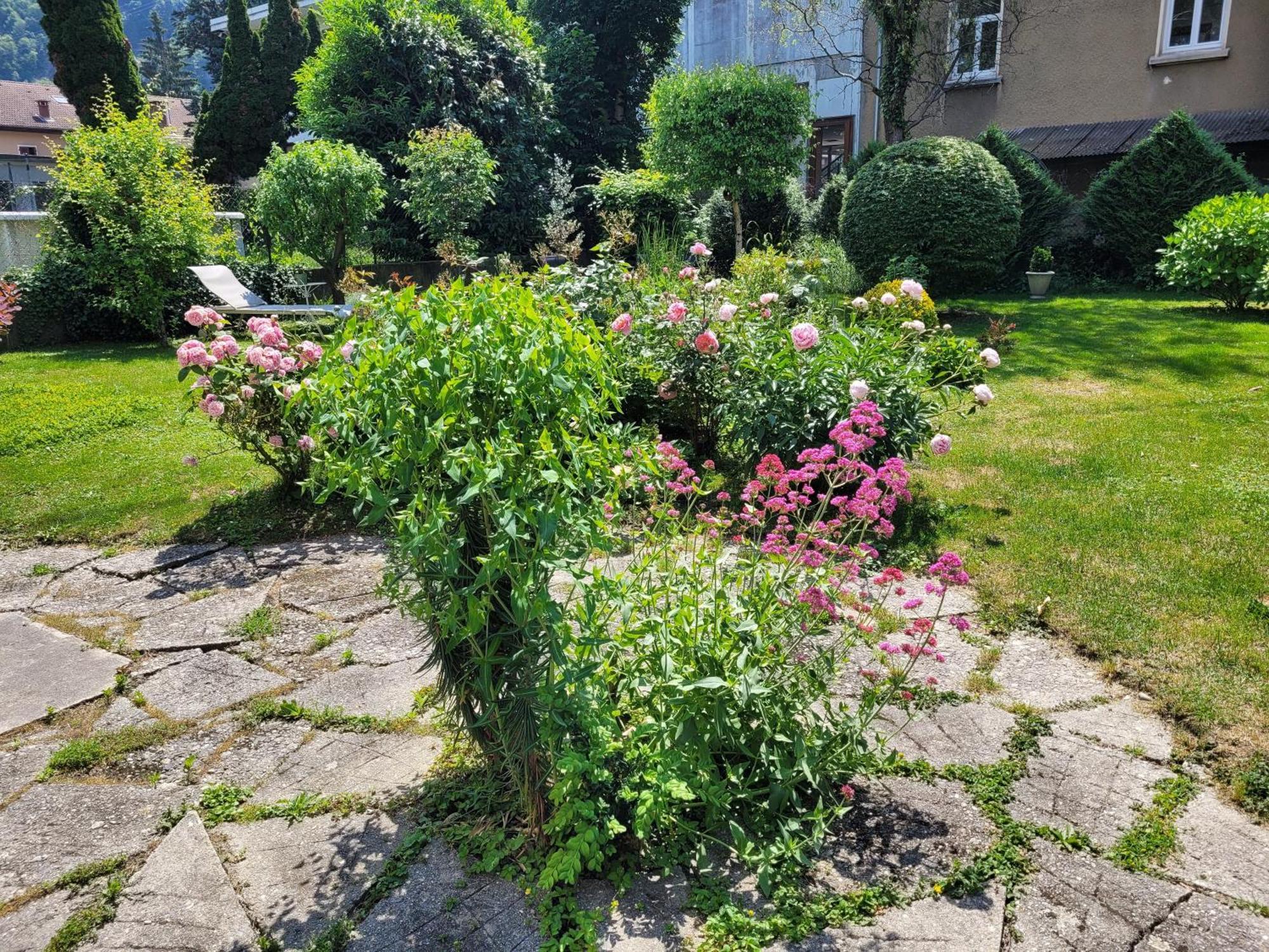 شقة Les Colibris - Standing Et Jardin - 3 Etoiles كلوز المظهر الخارجي الصورة